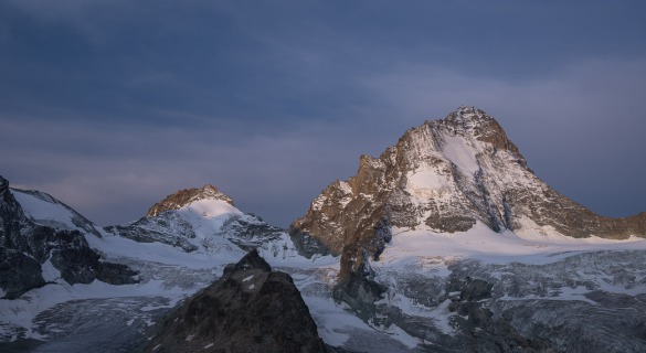 D72 7944