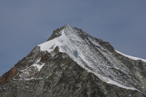 D72 7991