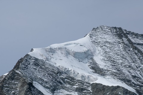 D72 8081