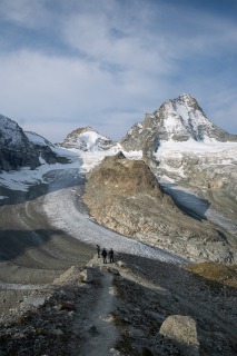 D72 7971