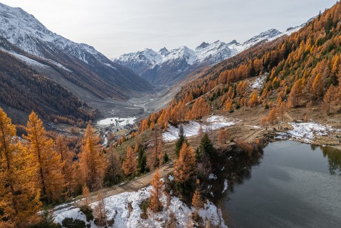 DJI 20251112130845 0948 D