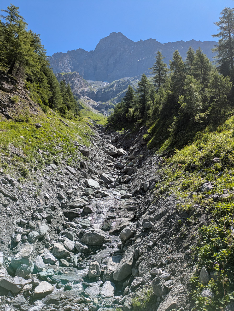 PXL_20250628_091724170.jpg